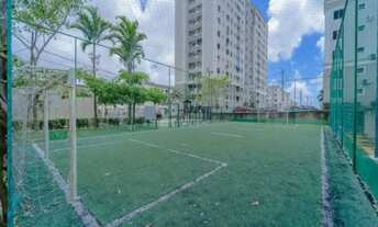 Imagem 4: Alugo, Nova Colina