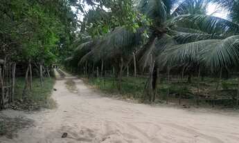 Imagem: Terreno bem localizado em Paraipaba