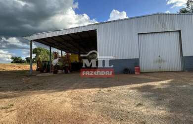 Imagem 14: Fazenda 62 alqueires (300,08 hectares ) Piracanjuba - GO