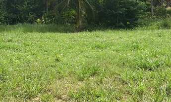 Imagem 5: Oportunidade Única! Terreno 16x20 em Japaratinga, Alagoas - Perto da Praia! ?