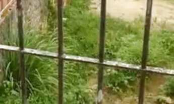 Imagem 4: CASA PRA VENDER Casa com 1 dormitório