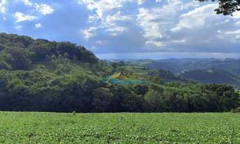 Imagem 4: Sítio à venda, 9 alqueires por R$ 1.400.000 - Linha Santana - Catanduvas/PR