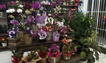 Imagem 3: Fabi Floricultura à Venda - 34 Anos - Negócio em Funcionamento