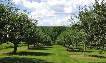 Imagem 2: Terreno 1000m² com Vista e Topografia Plana Condomínio em Ibiúna