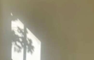 Imagem: Alugo Apt no condomínio jardins do janga