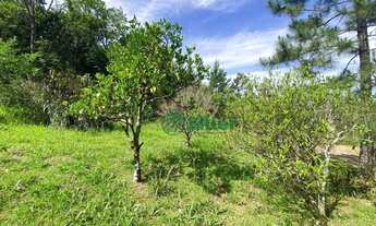 Imagem 6: Chácara na Fazenda Fialho com preço de oportunidade