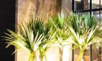 Imagem: LOTE EM CONDOMÍNIO RESERVA PARK 28127