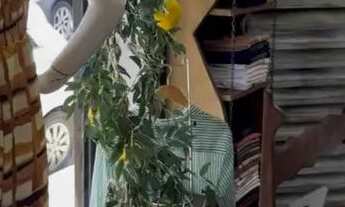 Imagem 6: Passo ponto comercial - Centro de Santa Isabel