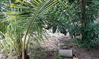 Imagem 5: VENDO TERRENO CONSTRUÍDO NA ASA BRANCA