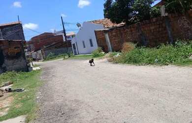Imagem 4: Vendo terreno no Jardim centenário vizinho avenida Euclides Figueiredo