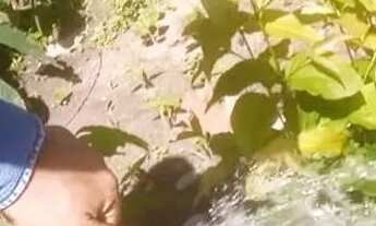 Imagem 5: Vendo terreno próx. Sta Teresa