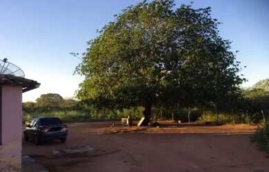 Imagem 3: Fazenda em São João do Jaguaribe