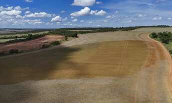 Imagem 4: Fazenda de 127 alqueires com lavoura de soja entre Bela Vista e Silvania-Go