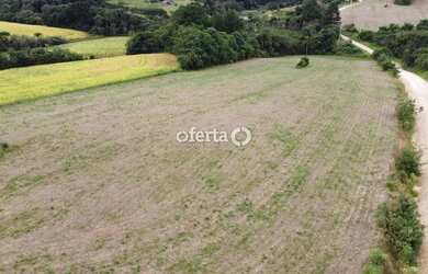 Imagem 4: Terreno / Chácara em Araucária / Thomaz Coelho