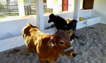 Imagem 7: Lote a venda Condominio Fazenda Gramado - Gravatá , terreno com uns 1300 mts