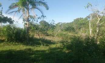 Imagem 5: Terreno na BR-319