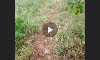 Imagem: Vende-se um terreno