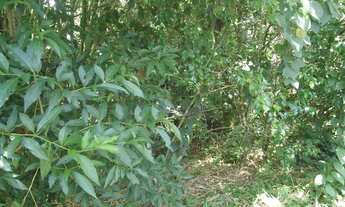 Imagem 5: Terreno à venda, 1250 m² por R$ 250.000,00 - Forest Hills - Jandira/SP