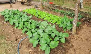 Imagem 4: Leopoldina - Fazenda - Centro