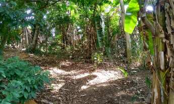 Imagem 7: Vende ou troca terreno