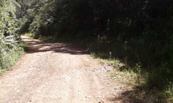 Imagem 3: Sítio 21 ha, ótimo para turismo