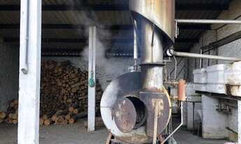 Imagem 3: Jacupiranga - Fazenda - Botujuru