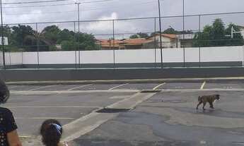 Imagem 2: Passo um lindo apartamento na Estrada da Maioba Jardim dinapoli