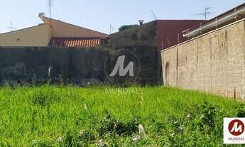 Imagem 2: Terreno (terreno normal