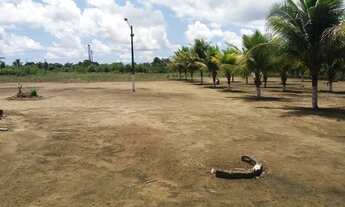 Imagem 7: Excelente Sítio em Aldeia