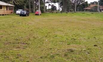 Imagem 4: Vende-se Chácara Ilhéus Dallagno