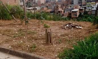 Imagem: Terreno À Venda - 140M² - Jacaranda