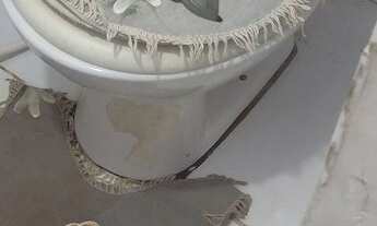 Imagem: Aluga-se maiobão 750,00