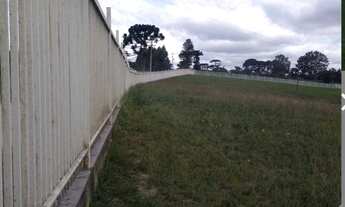 Imagem 6: Chácara em Piraquara/PR