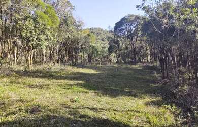 Imagem 6: Área rural para chácara com 30.000 m2 - Campo Alegre - SC