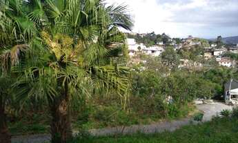 Imagem 2: Lotes / terrenos