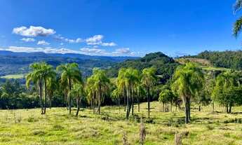 Imagem 4: Sitio com 6 Hectares em Três Coroas na Localidade de Figueira na Serra Gaúcha