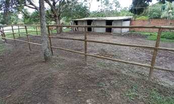 Imagem 5: Sítio em Barra de Pojuca