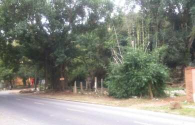 Imagem 5: Porto Alegre - Terreno Padrão - Serraria