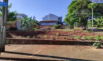 Imagem 3: Toledo - Lote/Terreno - Centro