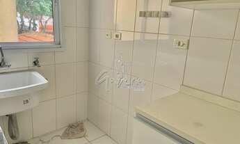 Imagem 7: SãO CAETANO DO SUL - Apartamento Padrão - Nova Gerty