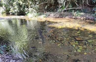 Imagem 2: Chácara itaberai LINDA e muita água