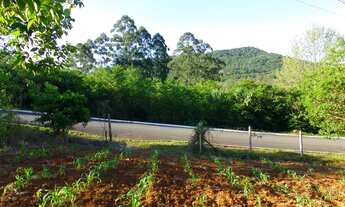 Imagem 6: Amplo terreno de esquina em Picada Café, na Serra Gaúcha