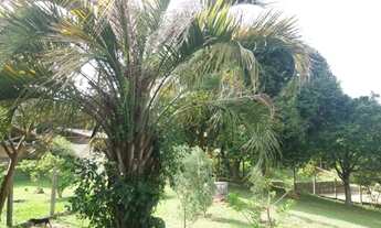 Imagem 7: Casa de Campo com vista para Lagoa Mirim em Santa Catarina