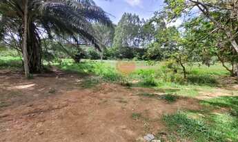 Imagem 4: Área em Cariacica