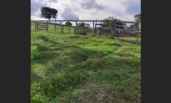 Imagem 3: Chácara Chácara com venda por R$2.450.000