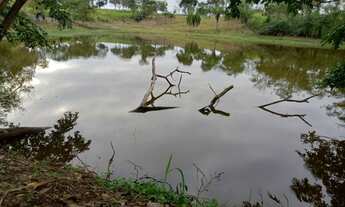 Imagem 5: Fazenda 135 hectares proximo de cuiaba