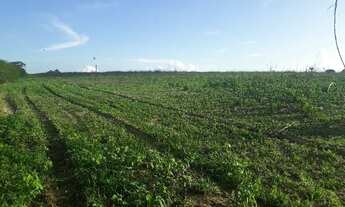 Imagem: Ótima Fazenda com 42 hectares próximo