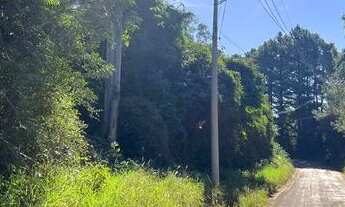 Imagem 4: Vendo sítio de frente para rua principal