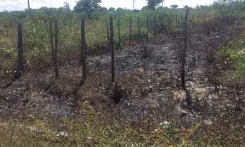 Imagem 2: Repasso lote em pacajus