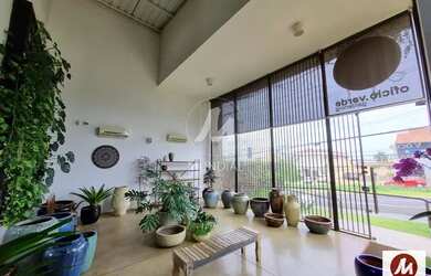 Imagem 2: Salão/Galpão (salão - térreo